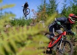 The Fear and Loaming mountain biking trail descends 2,500 feet on Larch Mountain in the Tillamook State Forest.