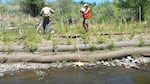 Restoration professionals collect baseline data on existing and planted vegetation on a tributary of the Rogue River. As part of the credit system, planted trees will be monitored for 20 years. 