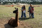 Jay Ortiz (third from the left) takes her two daughters and niece to the Frog Pond Farm's pumpkin patch in Wilsonville, Ore. on Saturday, Sept. 19, 2026. Ortiz is a single mom who says the price of tickets is affordable for her.
