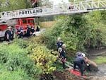 Portland Fire & Rescue crews were called out to rescue Christopher Lee Pray, who was found stuck in mud about 75 feet from the shore on Sept. 1, 2023. Pray, an aggravated murder suspect, escaped from Oregon State Hospital earlier in the week and was taken back into custody after his rescue.