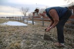 John Thelen stoops for a handful of sand pumped out by a well, before it ran dry. 