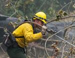 A firefighter works to douse hot spots on the Holiday Farm Fire in this image shared by incident responders on Thursday, Sept. 17, 2020.