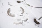 A forlorn snow angel on 13th Avenue in the Sellwood neighborhood during a snowstorm in Portland, on Thursday, Dec. 8, 2016.