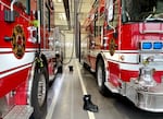 Trucks at the ready at Portland Fire & Rescue, Station 1 on Nov. 30, 2023. PF&R has 31 stations, delivering services throughout the city of Portland.