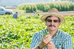 Professor Jim Myers has long worked with Oregon State University's green bean breeding program. He often used NORPAC funding in his research.