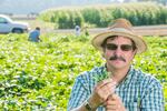 Professor Jim Myers has long worked with Oregon State University's green bean breeding program. He often used NORPAC funding in his research.