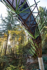 The new Barbara Walker Crossing on the Wildwood Trail on Saturday, Oct. 27, 2019, in Portland, Ore. The bridge was designed by artist Ed Carpenter in partnership with the city of Portland.