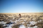 Eric Thompson and Sky cross the snow covered shrub-steppe.