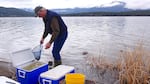 Alan Mikkelsen, the senior advisor to Interior Secretary Ryan Zinke, releases captive-raised endangered sucker fish into Upper Klamath Lake.