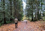 FILE - Jason Dove Mark walks his dog in the forest next to his home in Bellingham. Courtesy of KUOW.