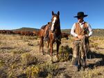 Clint Weaver, of Mt. Vernon, Oregon, is the cowboss or top herd manager of Silvies Valley Ranch outside of Burns. The ranch has endured at least five suspicious bull deaths this summer. 