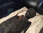 A replica of Tutenkhamun's mummified corpse.