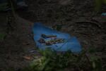 Bones are collected by forensic experts during the Feb. 20 search for remains of the missing.