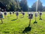 Signs bearing the faces and names of 101 Israeli hostages are seen in the University of Oregon quad on Monday.