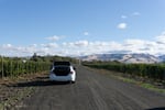 A vineyard worker’s car with the Blue Mountains in the background.