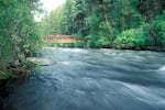 FILE: Catherine Creek State Park is a lesser-visited park near La Grande, Ore.