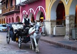 Cristian Munoz has been driving horse buggies for the past two decades. He says the electric carts will do away with part of the city’s heritage.