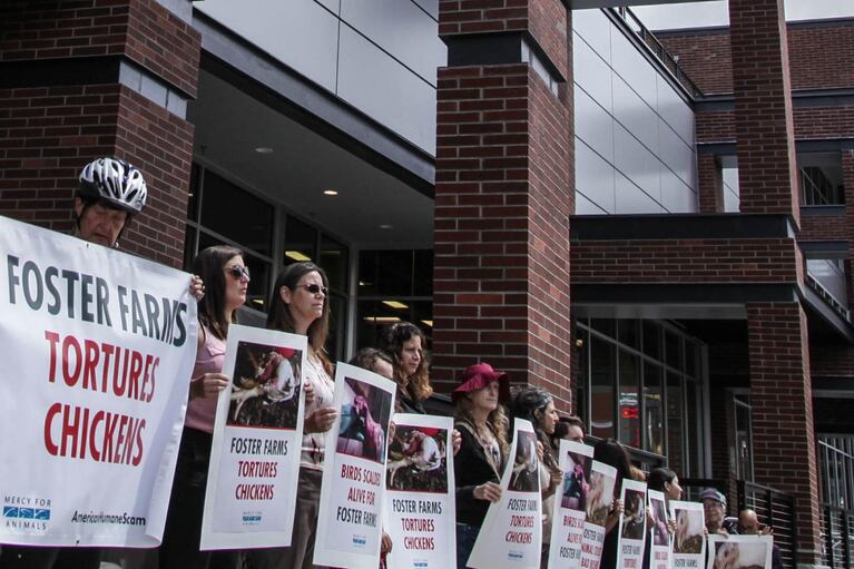 Mercy for Animals, an animal rights group, gathered outside of Fred Meyer in downtown Portland as part of a multi-city demonstration in protest of Foster Farm's alleged mistreatment of its chickens.