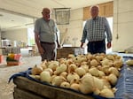 Tom Williams and Ray Williams, co-owners of Williams Organic Farms, pose behind a bin of Walla Walla sweet onions harvested from their farm.