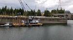 This Sunday, Sept. 8, 2019 photo provided by the U.S. Army Corps of Engineers shows a boat lock on the Bonneville Dam on the Columbia River that connects Oregon and Washington at Cascade Locks., Ore. 