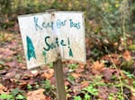 A sign in the woods that says "keep our trees safe"