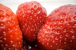 FILE: Close-up of Seascape strawberry varietal from the Strawberry Field Day event at North Willamette Research and Extension Center in Aurora, Ore., on June 8, 2022. 