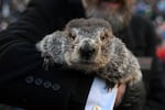 FILE - Groundhog Club handler A.J. Dereume holds Punxsutawney Phil, the weather prognosticating groundhog, during the 137th celebration of Groundhog Day on Gobbler's Knob in Punxsutawney, Pa., Feb. 2, 2023.