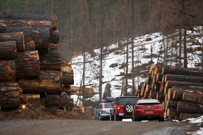 Cars travel along Hwy 46 on the way to Breitenbush, a place known for the large and lush forests, but has now been heavily logged following the Beachie Creek and Lionshead fires in 2020.