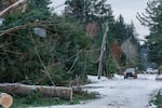 It’s been a few weeks since cold, ice and wind battered Oregon. In this Jan. 14, 2024 photo, power lines are down along Southwest 90th Avenue and Southwest Washington Street in Portland. 