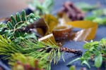 A feast of foraged plants at the Oregon Coast.