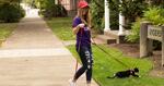 Under Linfield College's new pet policy, students will be able to bring their family pets - including cats - into one of the residence halls. 