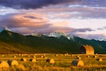 A field of hay bales frame an old western wooden barn with the dramatic Mission Mountain Range in the background near Pablo, Montana.