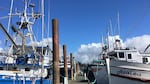 A lot of Oregon fishermen had docked their boats in Newport by April 3 because of low seafood prices and uncertain markets during the coronavirus pandemic.