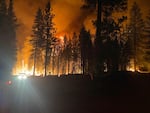 A night scene shows trees silhouetted against the orange glow of a wildfire, with the silhouette of a firefighter also visible.