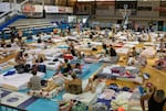 July 23, 2023: Evacuees take shelter at a sports hall in Venetokleio due to wildfires on Rhodes island, Greece.