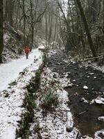 Snow blankets Balch Creek in Northwest Portland, Sunday, Dec. 24, 2017.