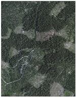 An aerial photo shows little except forest blanketing Blue Ridge.