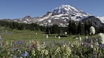 You won't get this close to Mount Rainier until the government shutdown ends. All national parks, including Rainier, are closed becuase of the federal funding lapse brought on by Congress.