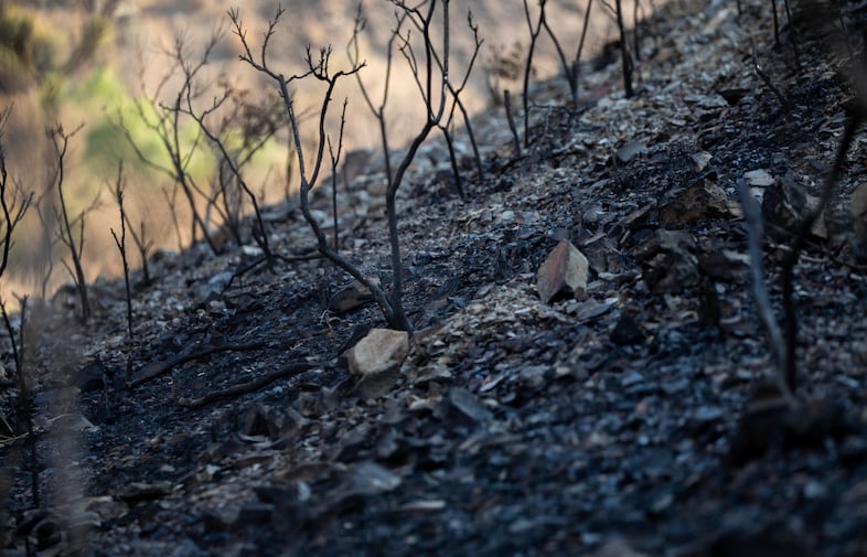 Burned brush and earth at the edge of the rangeland the Smull family used to graze their cattle before the fires.  The Durkee fire was started by a lightning strike in mid-July and burned nearly 295,000 acres of grassland over the course of two weeks. 