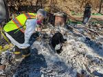 Lynne Engelbert and her dog Piper investigate a pile of ash they suspect could be the cremated remains of Kelly Greer's husband. An urn containing his ashes was lost during the McKinney Fire.
