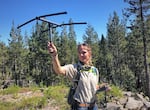 Wildlife biologist Jamie Bowles uses radio telemetry to track a Sierra Nevada red fox that she previously captured and collared with a radio transmitter. Bowles is a biologist at the Oregon Department of Fish & Wildlife who become one of Oregon’s leading experts on the endangered and rare Sierra Nevada red fox.