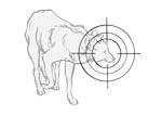 Illustration of a grey wolf with a hunting sight layered over its head. 