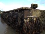 A dock that broke loose from Japan's Misawa fishing port during the 2011 tsunami showed up on Oregon's Agate Beach in June 2012.