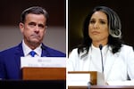 CIA Director John Ratcliffe, Tulsi Gabbard