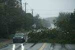 Vehicles navigate around a downed tree from Post-Tropical Storm Fiona on Saturday in East Bay, Nova Scotia on Cape Breton Island in Canada.