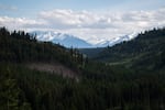 Ponderosa pines, Douglas firs and other trees cover the slopes of the Blue Mountains, north of Enterprise, Ore., as the afternoon sun hits the Wallowa Mountains on May 20, 2026.