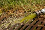 Water from a vacuum line being used by National Park Service employees to clean the Lincoln Memorial Reflecting Pool pours into a nearby drain, Saturday, June 20, 2026, in Washington.