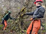 A wildfire protection crew works in Dexter on Nov. 29, 2023.