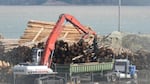 Logs are prepared for export in Coos Bay, Ore. Sequestration may result in a 10 percent cut to aid payments to Coos county and 17 other Western Oregon counties.