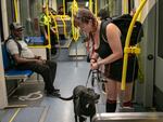 Delisa Guerrero and her dog Rascal prepare to exit the MAX Blue Line train in East Portland, Ore., Sept. 22, 2025. Guerrero says she often brings Rascal on public transport and worries about him coming across drug paraphernalia left around some of the stations. 